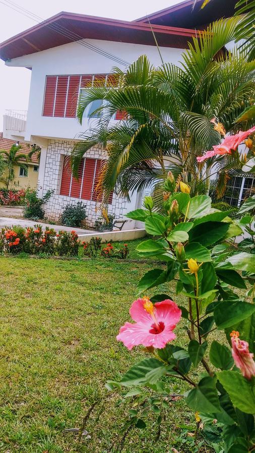 Jacks Hill Tropical Arcadia Hotel Kingston Exterior photo
