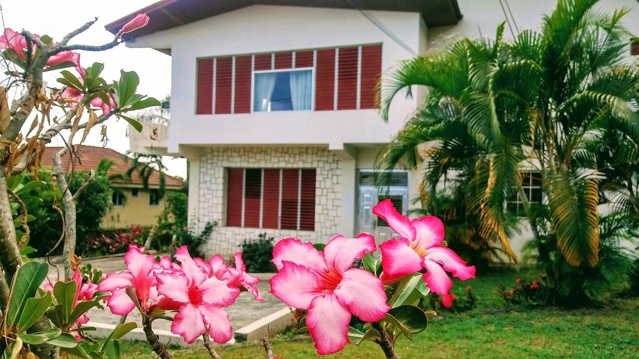 Jacks Hill Tropical Arcadia Hotel Kingston Exterior photo